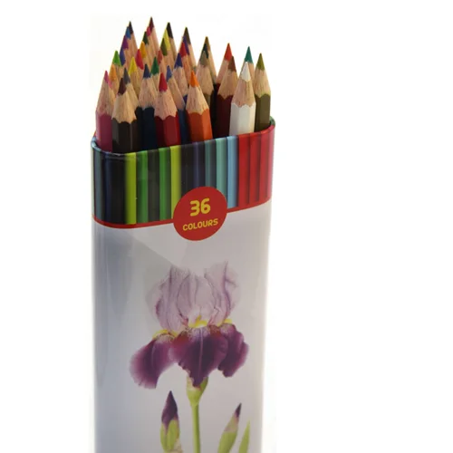 مداد رنگی 36 رنگ استوانه ای لاک پشت